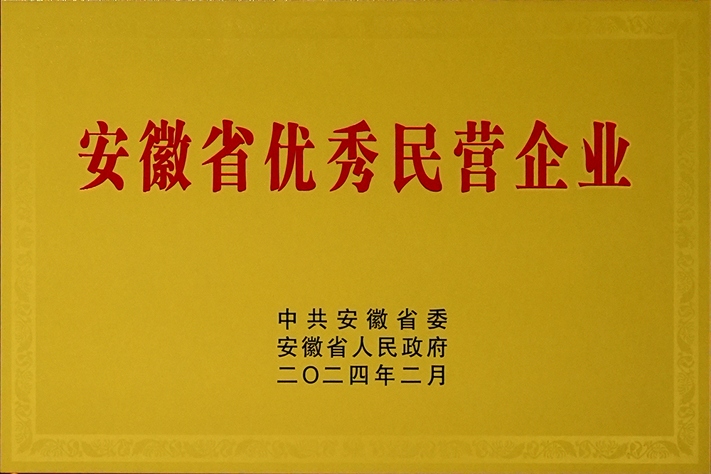 安徽省新春**會(huì)，豪家股份榮獲“安徽省百名優(yōu)秀民營企業(yè)”稱號(hào)
